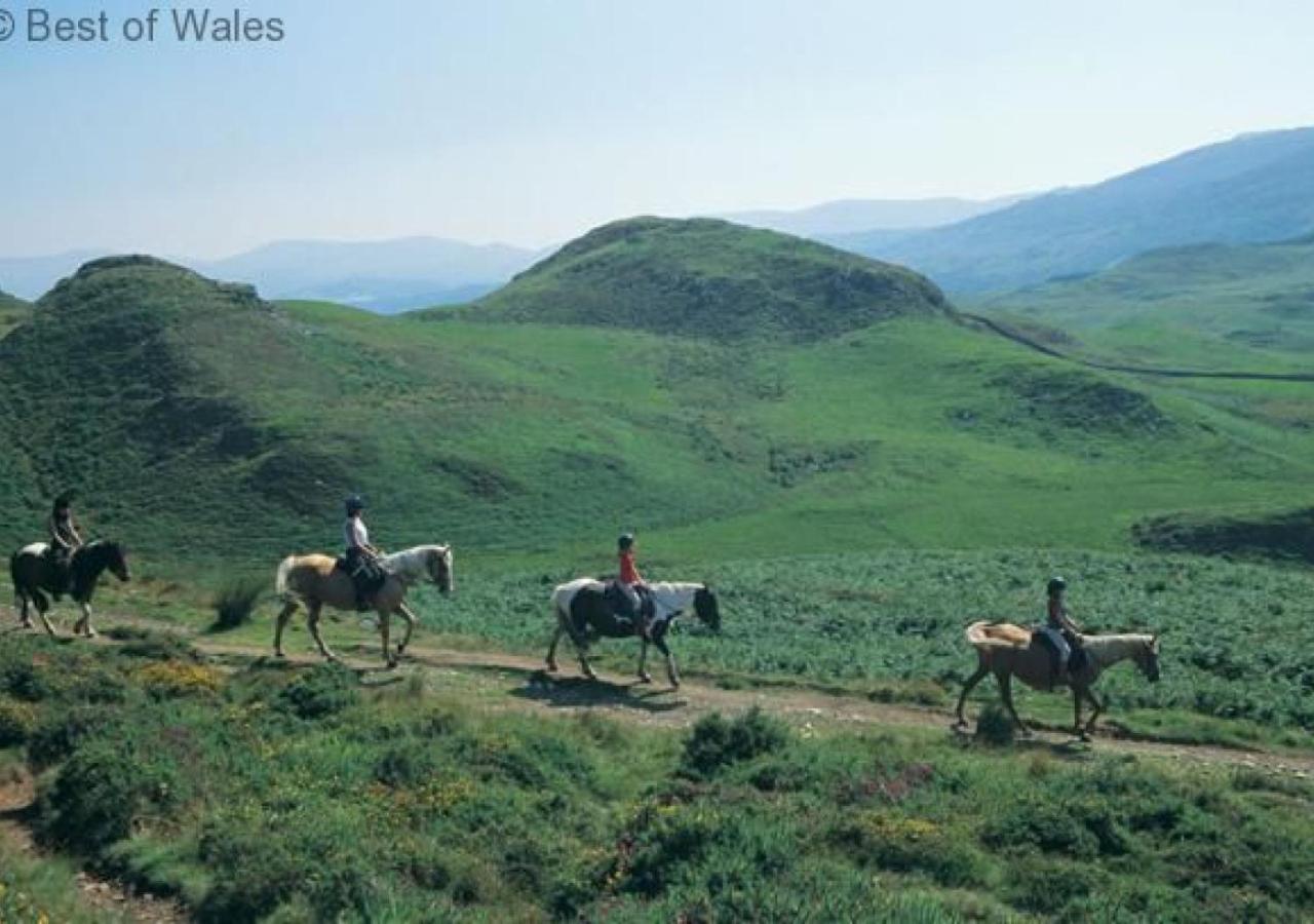Cuddfan Idris Villa Dolgellau Luaran gambar